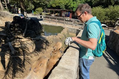 Teacher of the Month: The one and only lord of capybaras – Mr Feezell!